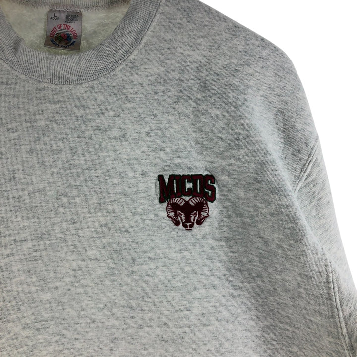 90'S Fruit of the Loom College Sweatshirt, Made in USA, Men's Size L, Vintage cotton gray type Vintage Second Hand