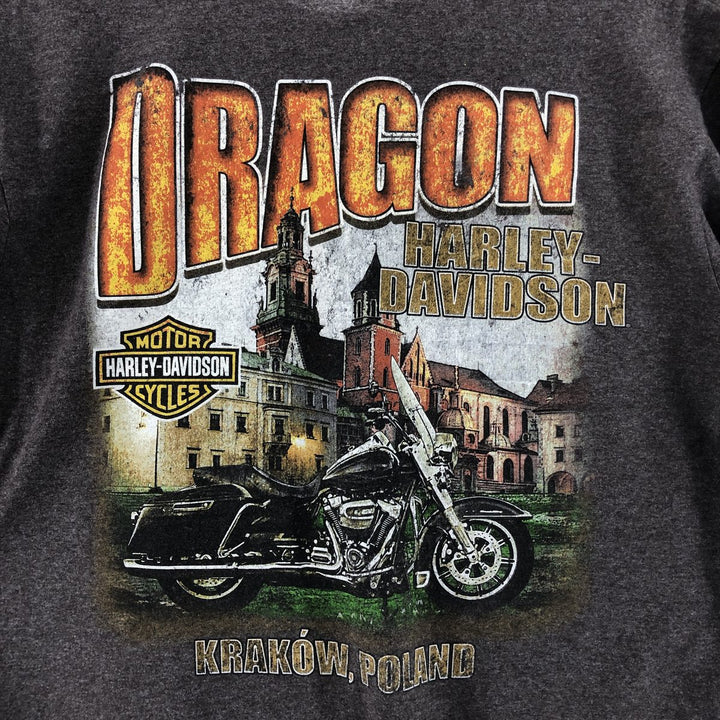 Harley-Davidson Long T-shirt, Men's M size / eaa523594