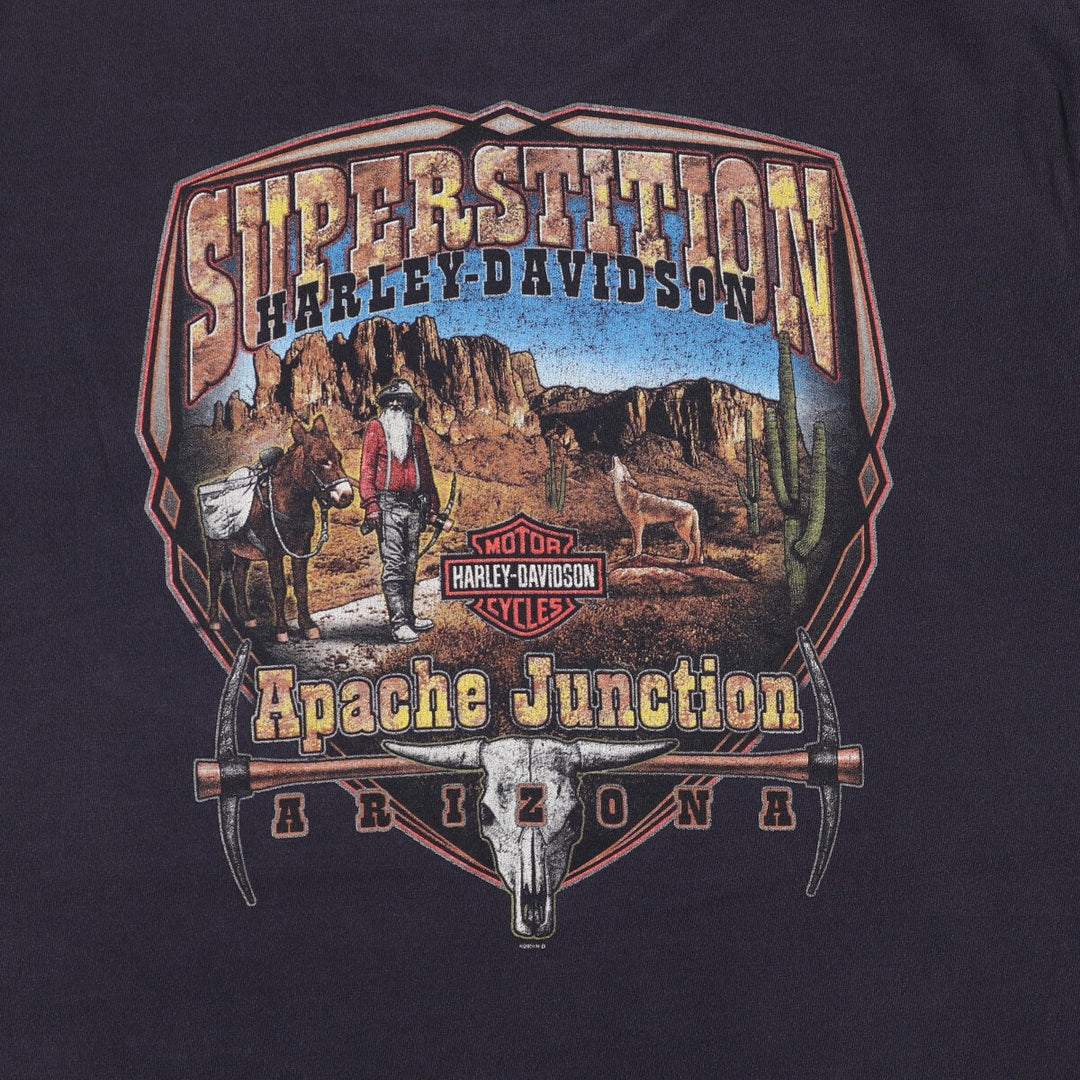 00'S Harley-Davidson Motorcycle Bike T-shirt Made in USA Men's L size cotton black type Vintage Second Hand