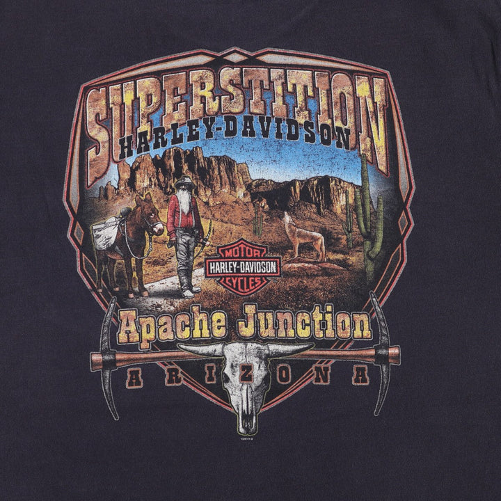 00'S Harley-Davidson Motorcycle Bike T-shirt Made in USA Men's L size cotton black type Vintage Second Hand