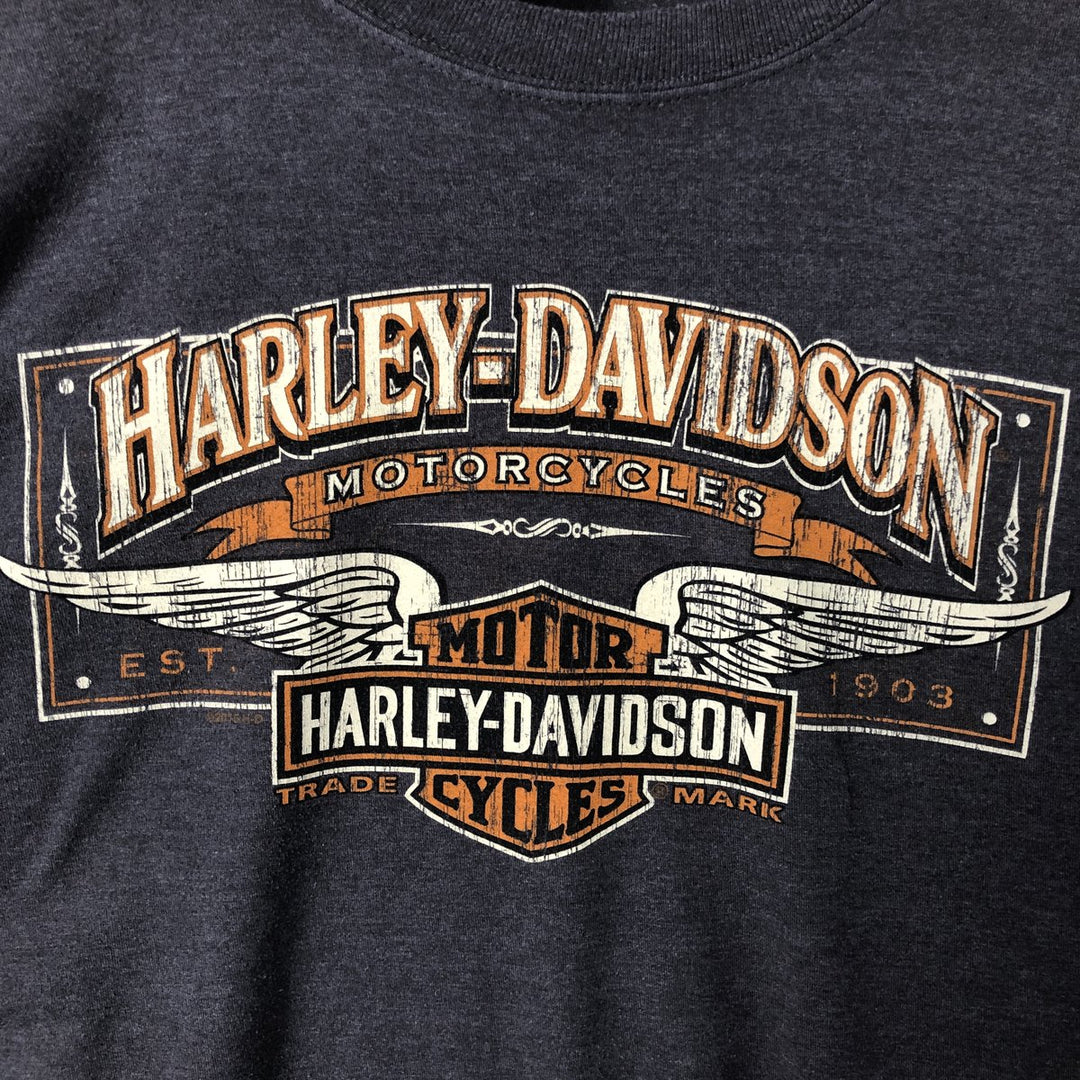 Harley-Davidson Motorcycle Long Sleeve T-Shirt, Men's XXL cotton gray type Vintage Second Hand