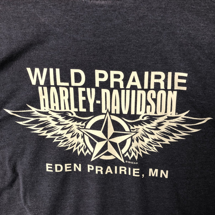 Harley-Davidson Motorcycle Long Sleeve T-Shirt, Men's XXL cotton gray type Vintage Second Hand