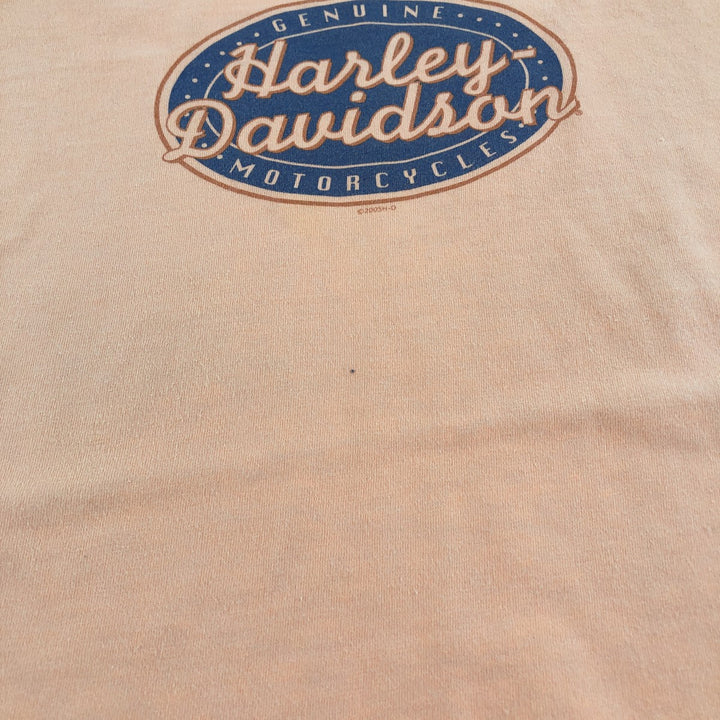 00'S Harley-Davidson Motorcycle Bike T-shirt Made in USA Men's L size cotton orange type Vintage Second Hand