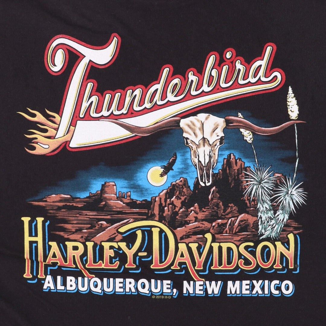 Harley-Davidson Motorcycle Bike T-shirt, Men's XL size cotton black type Vintage Second Hand