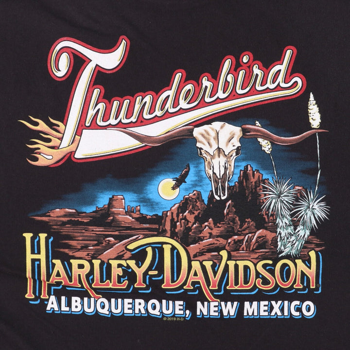 Harley-Davidson Motorcycle Bike T-shirt, Men's XL size cotton black type Vintage Second Hand