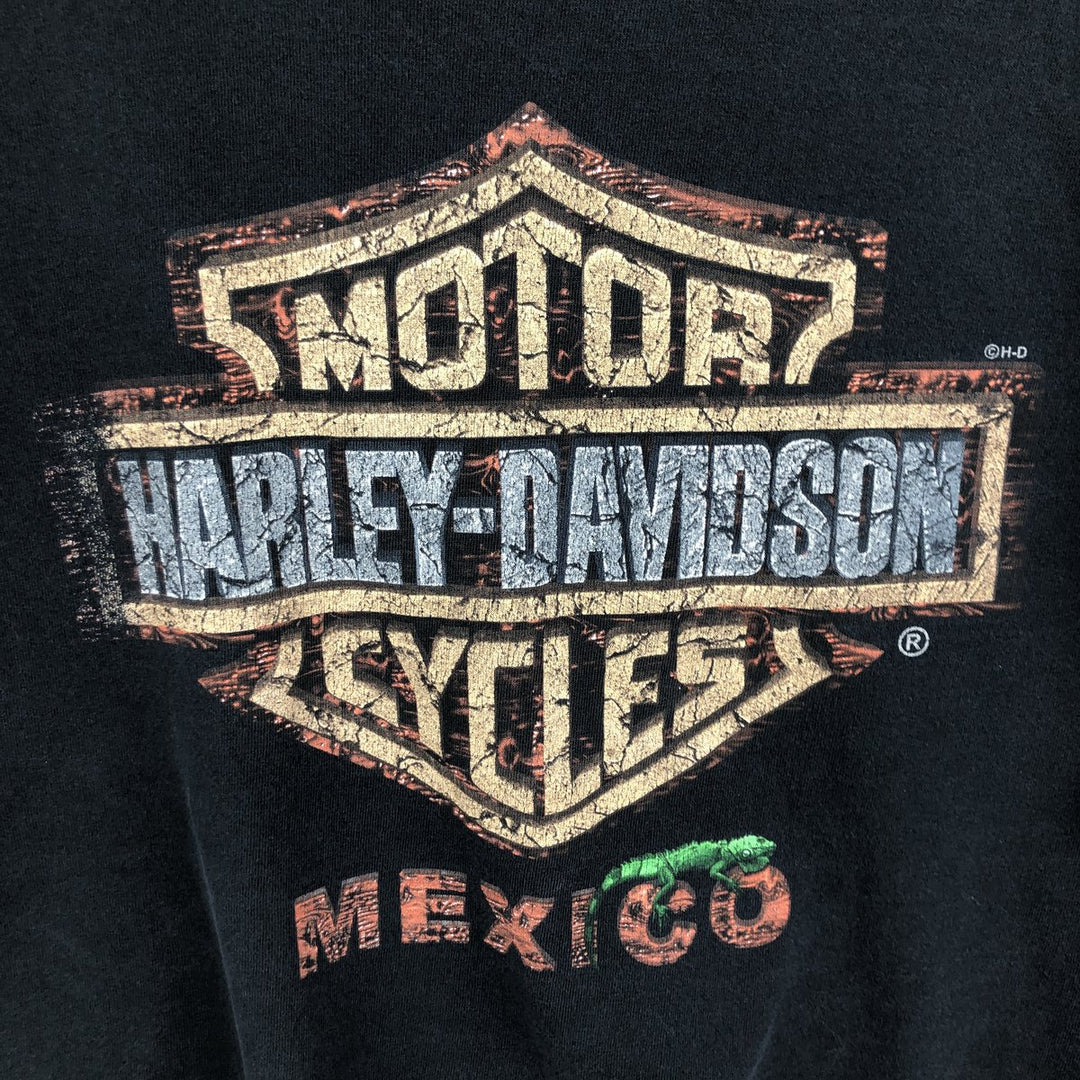 Harley-Davidson Motorcycle Bike T-shirt, Men's XL size cotton black type Vintage Second Hand