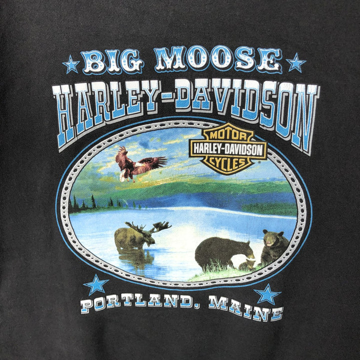 00'S Harley-Davidson Fire Pattern Pullover Sweatshirt Hoodie, Men's Size L cotton black type Vintage Second Hand