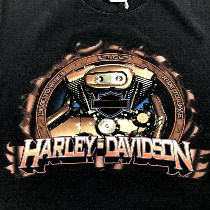 00'S Harley-Davidson Harley Davidson Motorcycle Bike T-shirt Men's M size cotton black type Vintage Second Hand