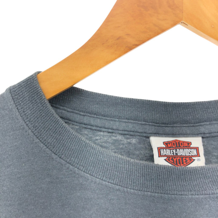 Harley-Davidson Skull Pattern Long T-shirt, Men's L size cotton gray type Vintage Second Hand
