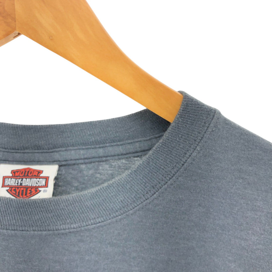 Harley-Davidson Skull Pattern Long T-shirt, Men's L size cotton gray type Vintage Second Hand
