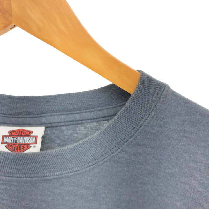 Harley-Davidson Skull Pattern Long T-shirt, Men's L size cotton gray type Vintage Second Hand