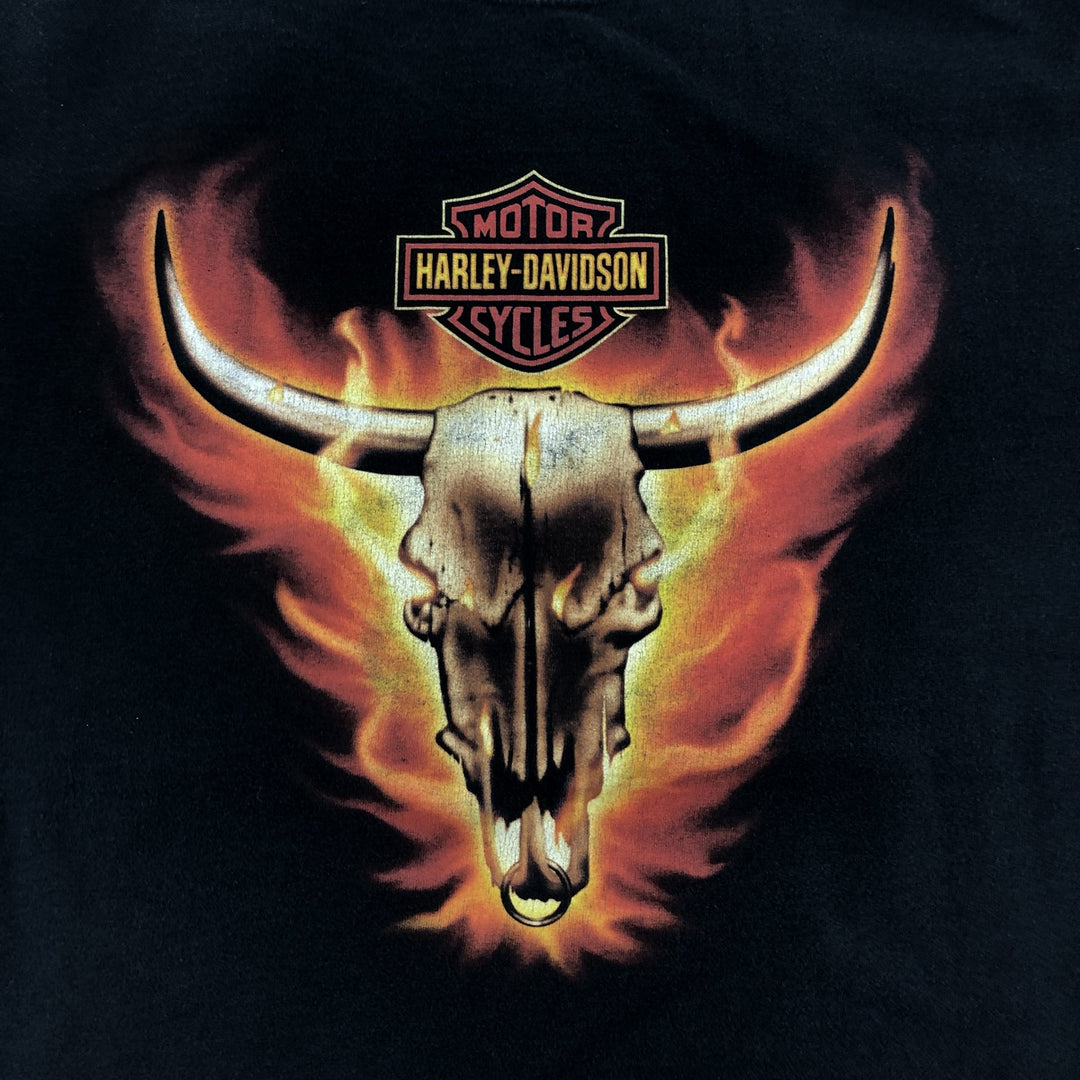 00'S Harley-Davidson Fire Pattern Motorcycle Bike T-Shirt Men's XXL cotton black type Vintage Second Hand