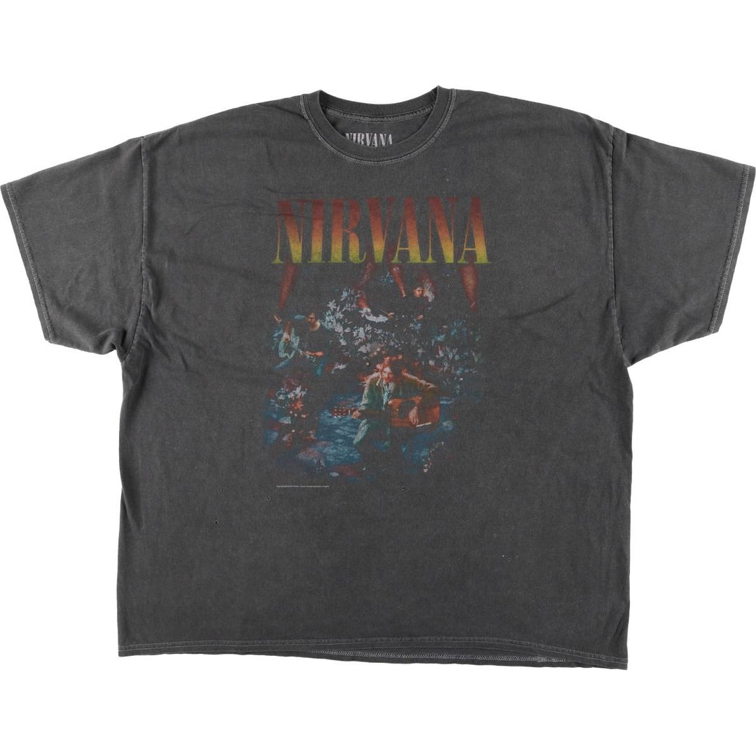 NIRVANA Nirvana Band T-shirt Band T Men's S size cotton gray type Vintage Second Hand