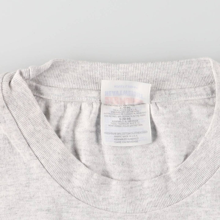 90s-00'S Hanes AEP American Electric Power Advertising T-shirt Men's L size cotton gray type Vintage Second Hand