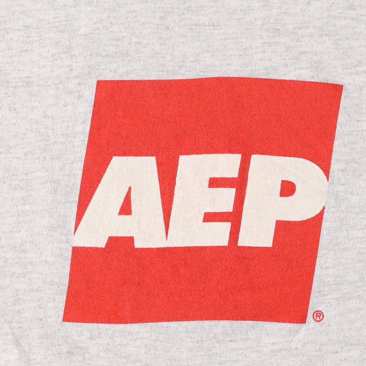 90s-00'S Hanes AEP American Electric Power Advertising T-shirt Men's L size cotton gray type Vintage Second Hand