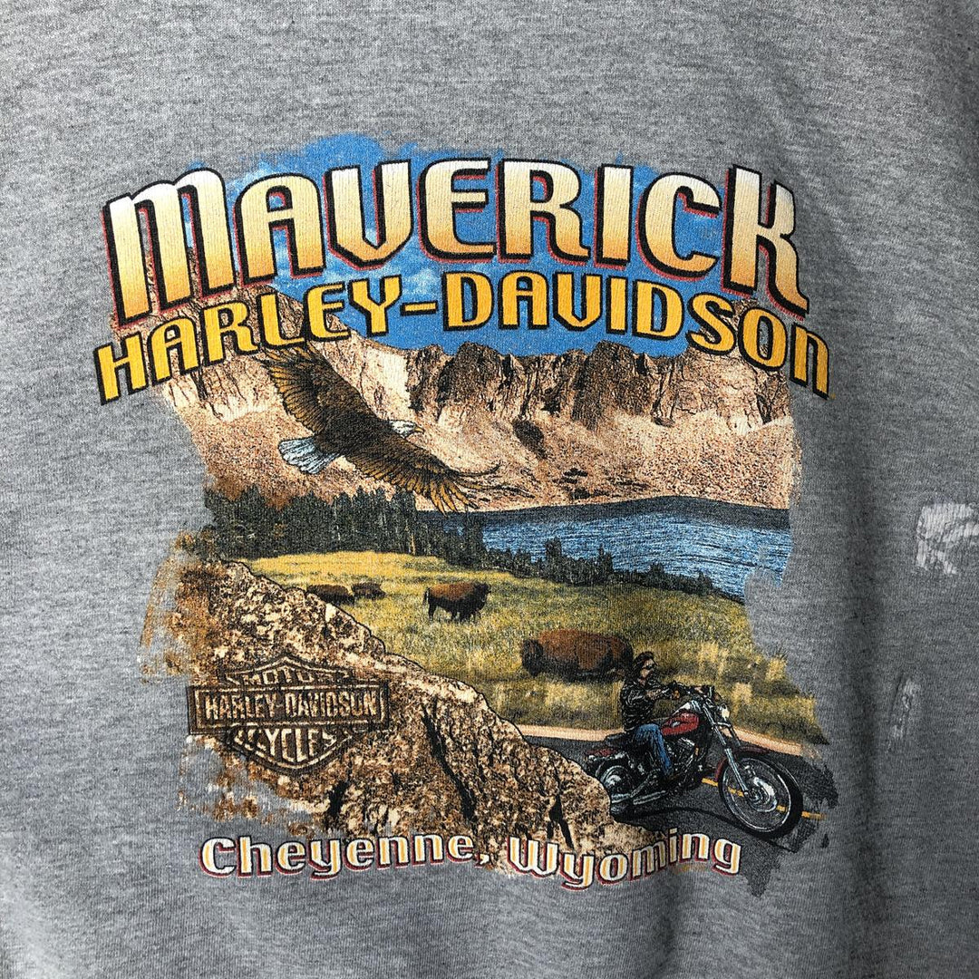 Harley-Davidson Sweatshirt Pullover Hoodie Men's XL cotton gray type Vintage Second Hand