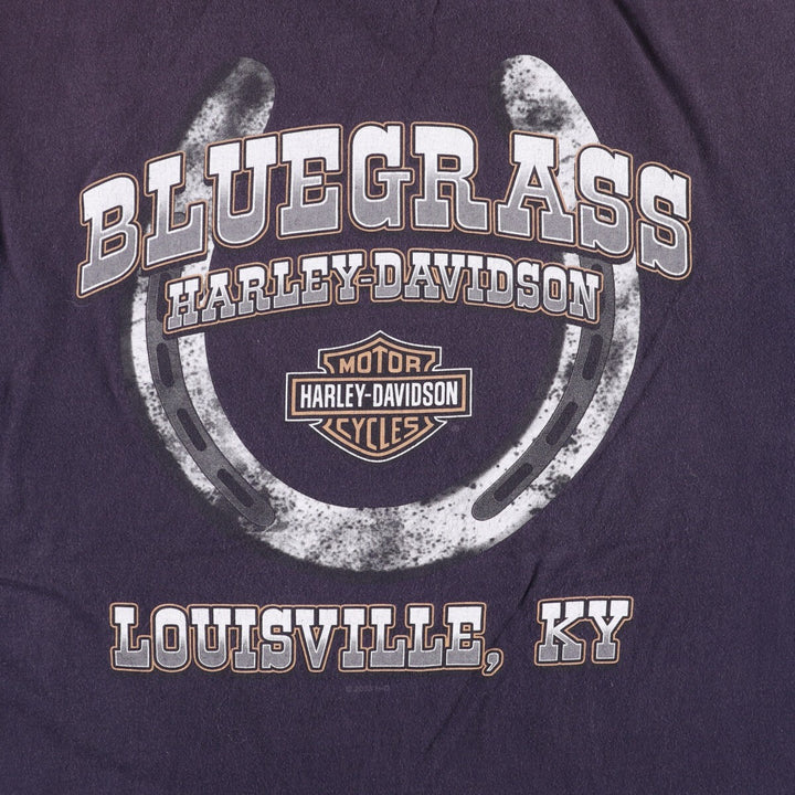 00'S Harley-Davidson Motorcycle Bike T-shirt Made in USA Men's L size cotton black type Vintage Second Hand