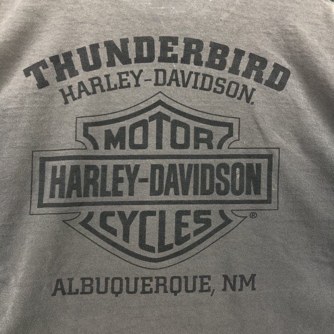 Harley-Davidson Motorcycle Bike T-shirt, Men's Size L unknown gray type Vintage Second Hand