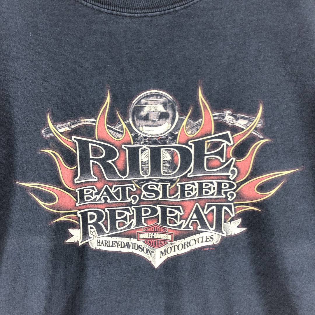 Big size 00'S Harley-Davidson long T-shirt, men's XXXL equivalent cotton black type Vintage Second Hand