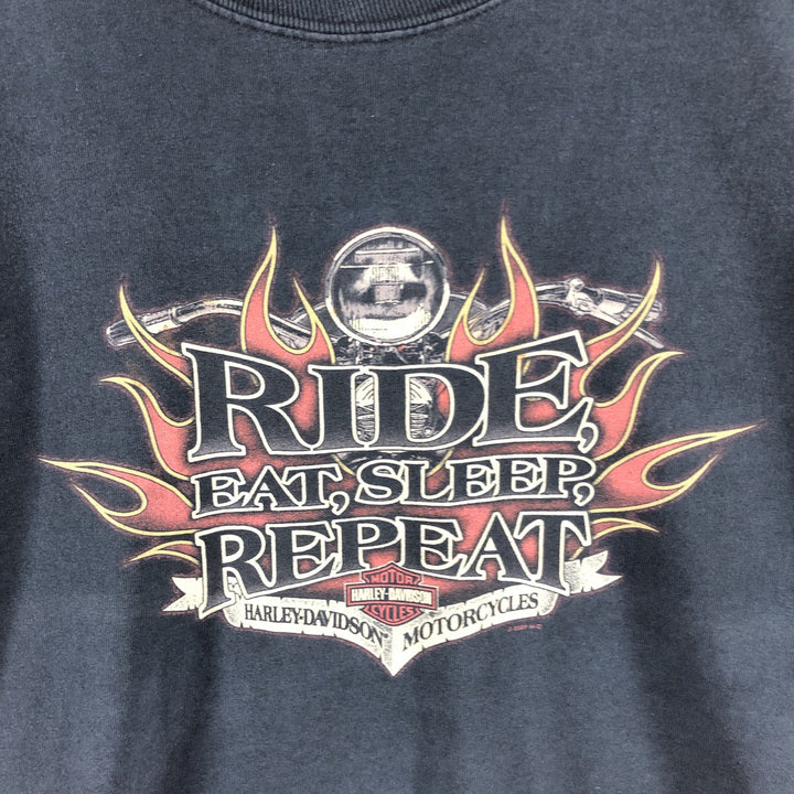 Big size 00'S Harley-Davidson long T-shirt, men's XXXL equivalent cotton black type Vintage Second Hand