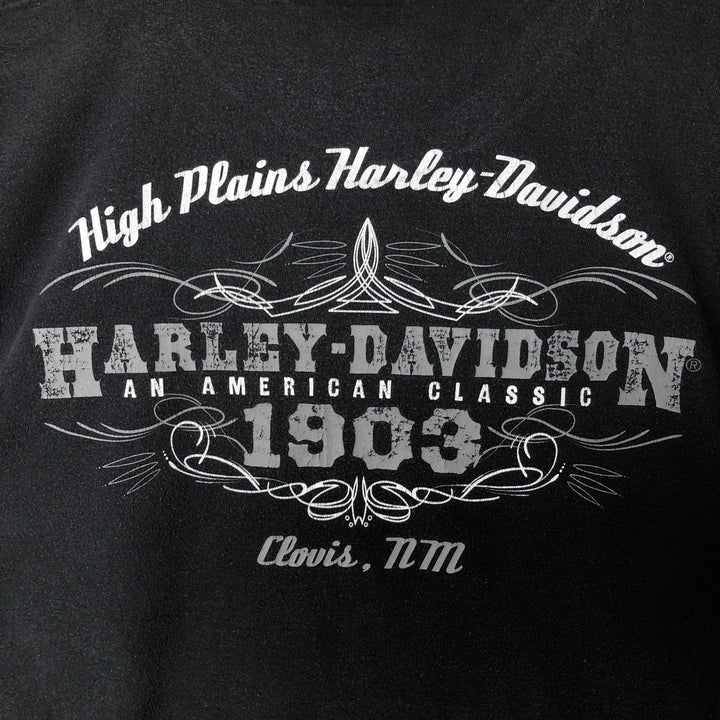 00'S Harley-Davidson Pin-up Girl Motorcycle Bike T-shirt, Men's L size cotton black type Vintage Second Hand