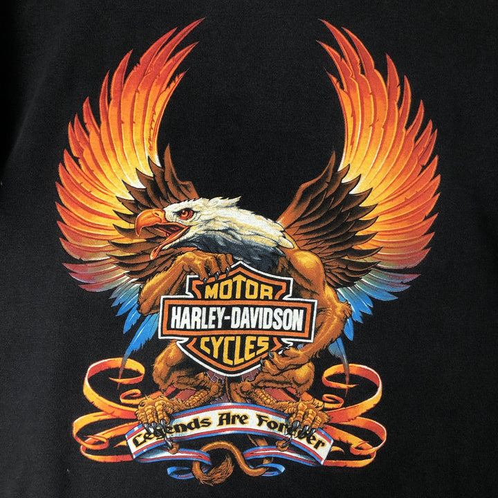 Harley Davidson HOLOUBEX Eagle Pattern Motorcycle Bike T-shirt Made in USA Men's L size cotton black type Vintage Second Hand