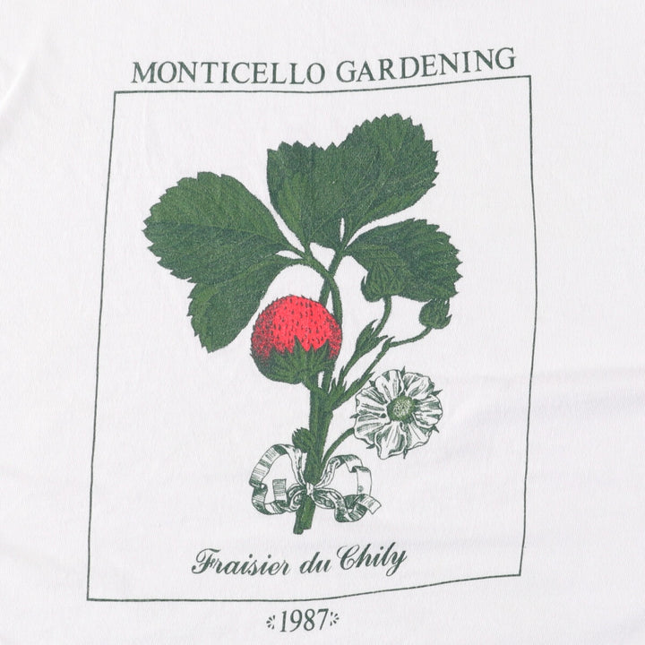 Vintage 90'S Hanes printed T-shirt, made in the USA, size L for men cotton white type Vintage Second Hand