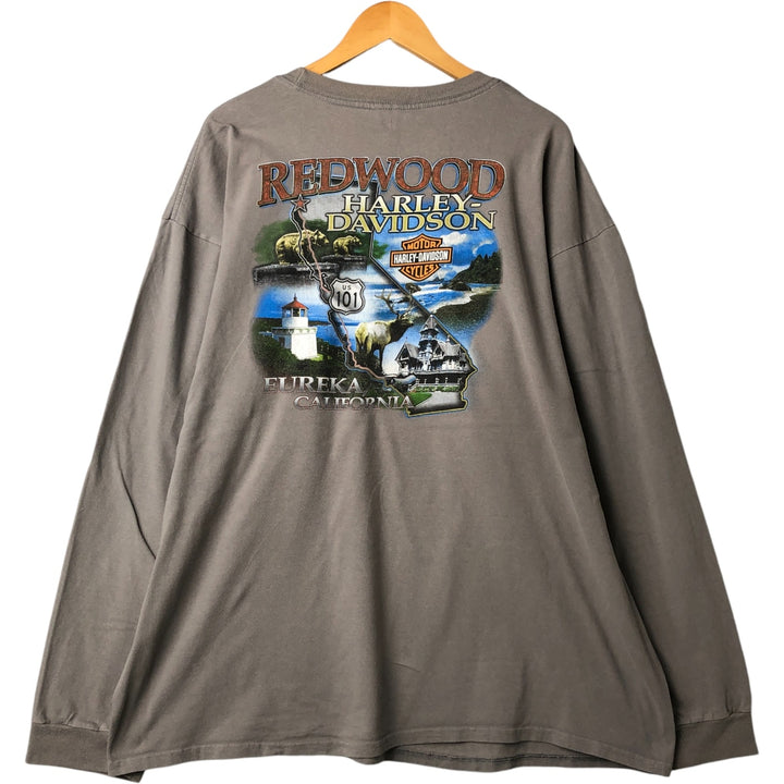 Big size 00'S Harley-Davidson Pin-up Girl long T-shirt, made in the USA, men's XXXL equivalent cotton gray type Vintage Second Hand