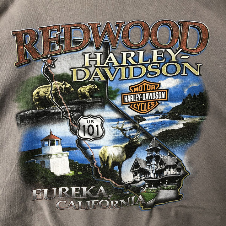 Big size 00'S Harley-Davidson Pin-up Girl long T-shirt, made in the USA, men's XXXL equivalent cotton gray type Vintage Second Hand