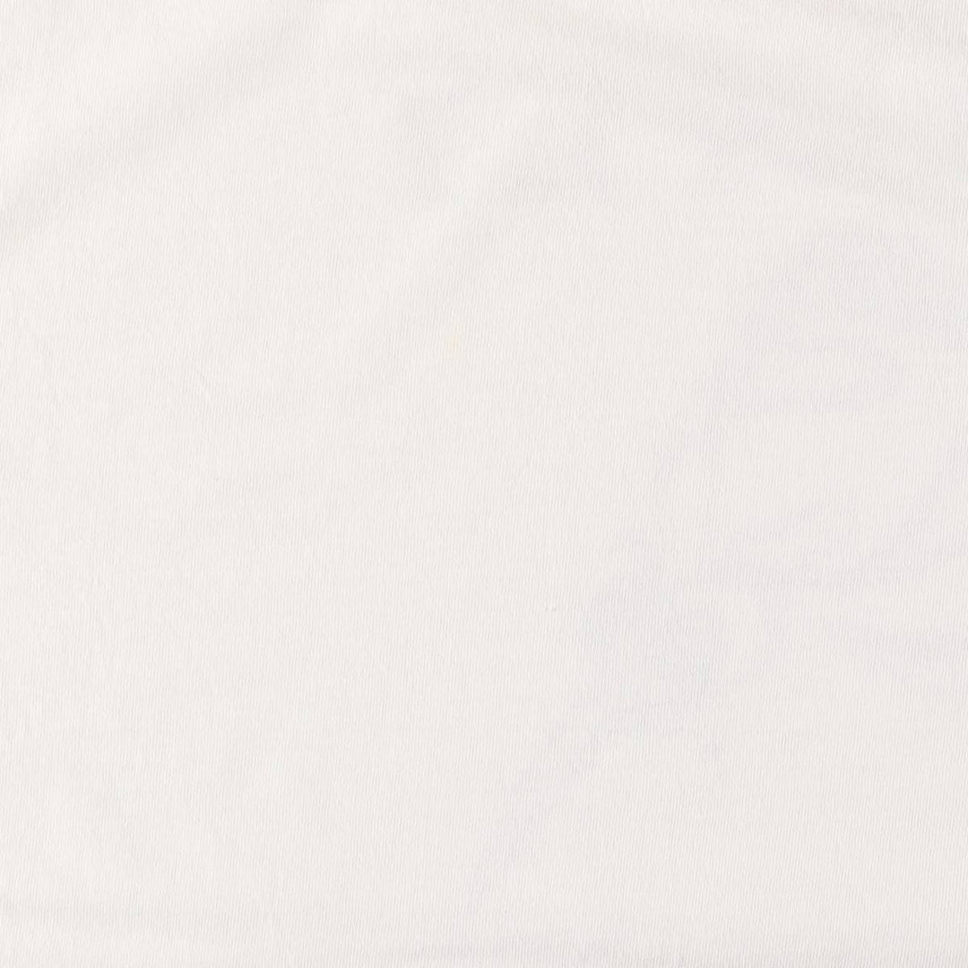 90s~00'S Gildan GADFLY Printed T-shirt Men's XL cotton white type Vintage Second Hand