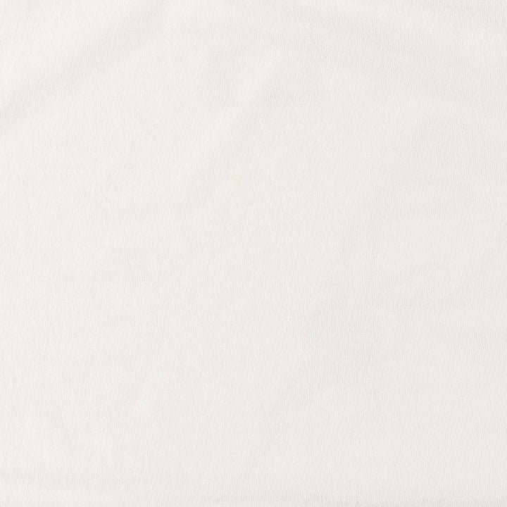 90s~00'S Gildan GADFLY Printed T-shirt Men's XL cotton white type Vintage Second Hand