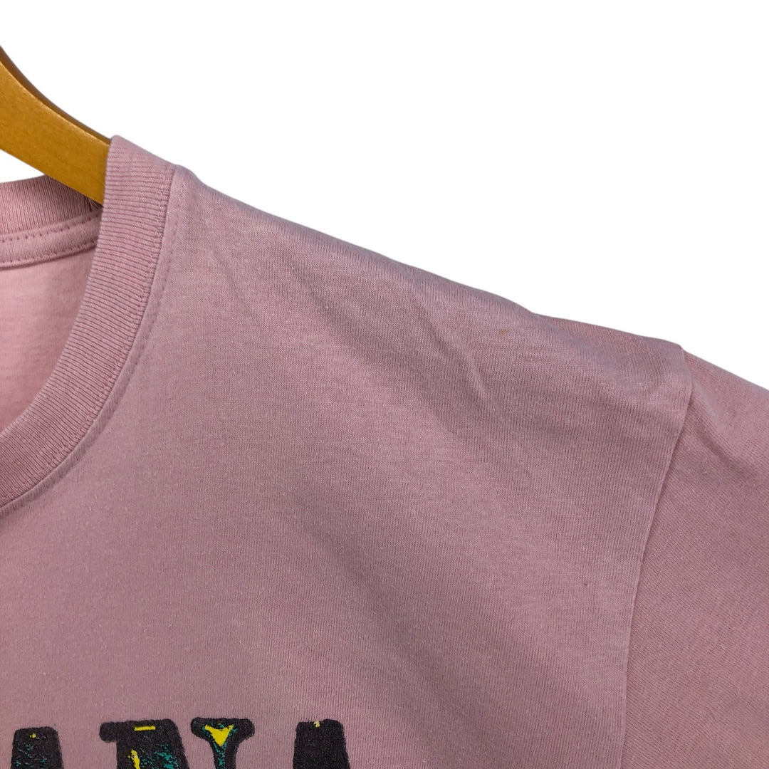 NIRVANA Nirvana Band T-shirt, Band T, Men's L size cotton pink type Vintage Second Hand