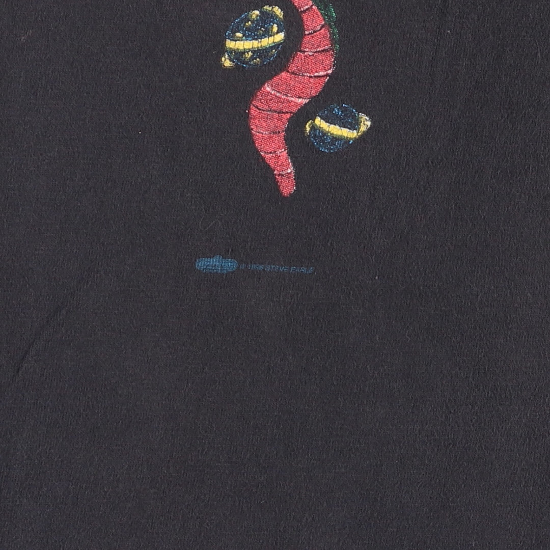 WINTER LAND STEVE EARLE Band T-shirt, Made in USA, Men's XL cotton Charcoal Vintage Second Hand