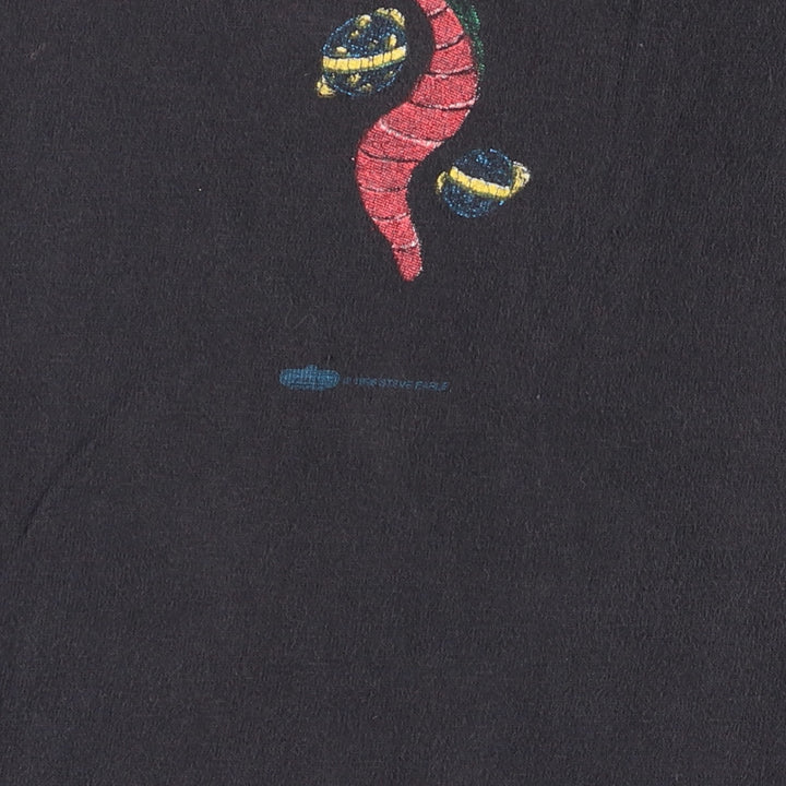 WINTER LAND STEVE EARLE Band T-shirt, Made in USA, Men's XL cotton Charcoal Vintage Second Hand