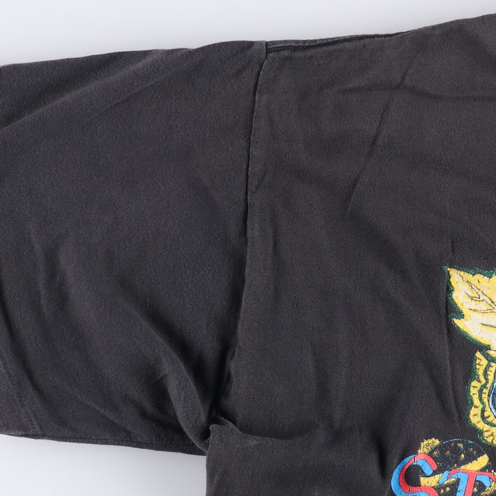 WINTER LAND STEVE EARLE Band T-shirt, Made in USA, Men's XL cotton Charcoal Vintage Second Hand