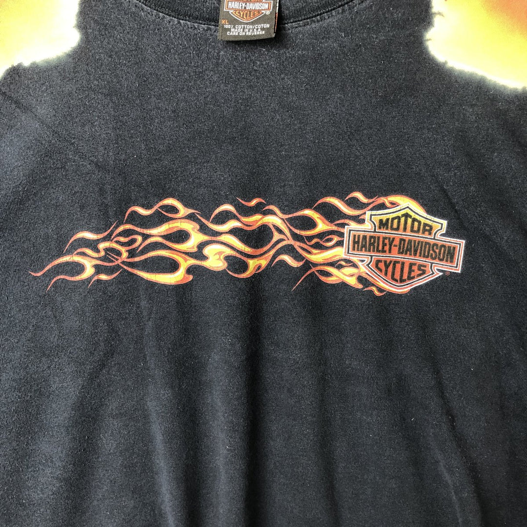Harley-Davidson Fire Pattern Motorcycle Bike T-Shirt Made in USA Men's XL cotton black type Vintage Second Hand