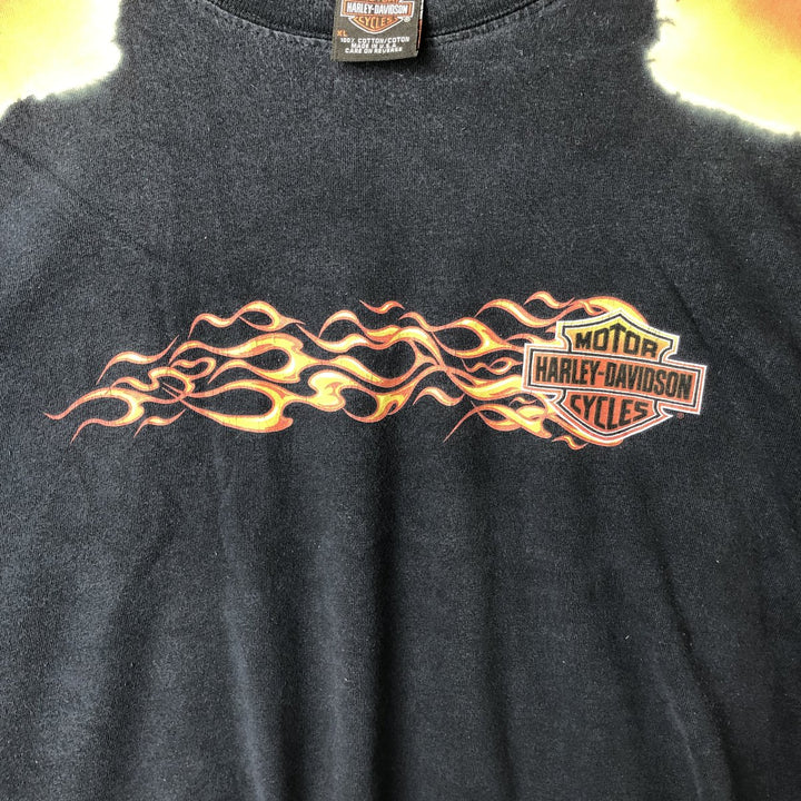 Harley-Davidson Fire Pattern Motorcycle Bike T-Shirt Made in USA Men's XL cotton black type Vintage Second Hand