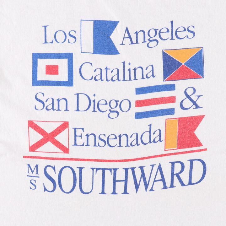 Vintage 90'S Hanes Heavyweight Printed T-shirt, Made in USA, Men's L size cotton white type Vintage Second Hand