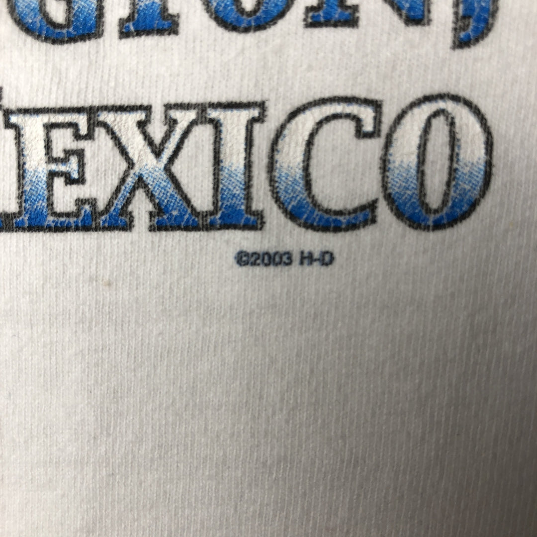 00'S Harley-Davidson Motorcycle Bike T-shirt Made in USA Men's L size cotton white type Vintage Second Hand