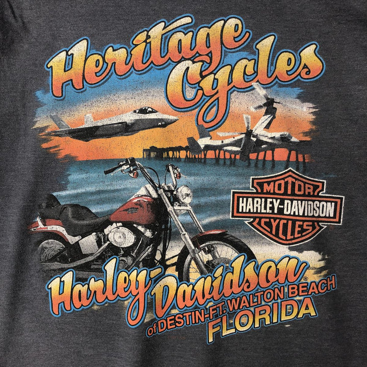 Harley-Davidson Motorcycle Bike T-shirt, Men's Medium cotton gray type Vintage Second Hand
