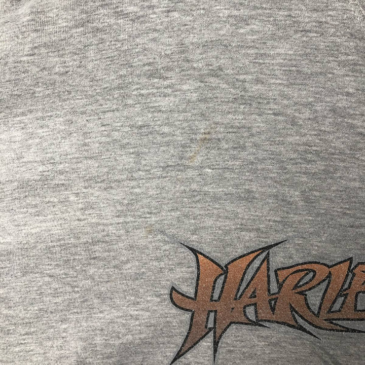 00'S Harley-Davidson Dragon Pattern Long T-shirt Made in USA Men's XL cotton gray type Vintage Second Hand