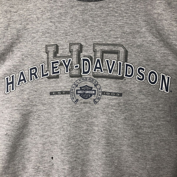00'S Harley-Davidson Eagle Pattern Long T-shirt, Men's XL size cotton gray type Vintage Second Hand