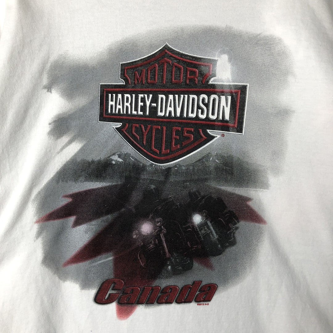 Harley-Davidson Fire Pattern Long T-Shirt, Men's L Size cotton white type Vintage Second Hand