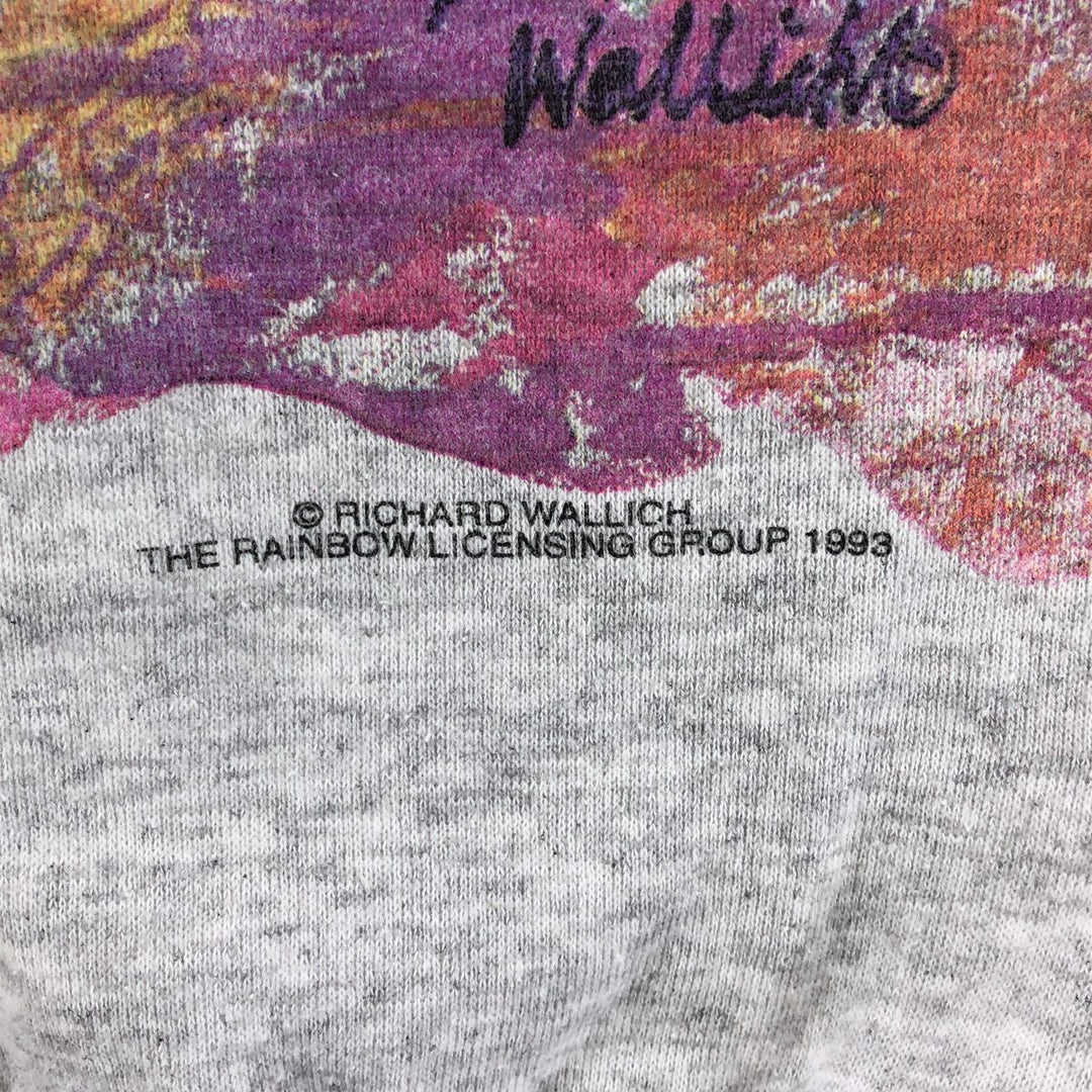 Vintage Delta DELTA printed sweatshirt, made in the USA, men's size XL polyester gray type Vintage Second Hand