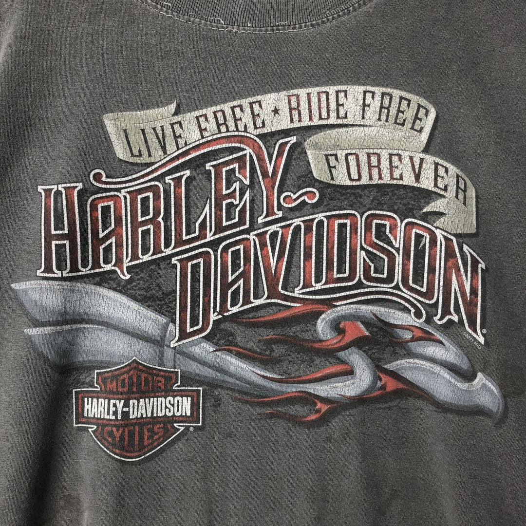 Harley-Davidson Motorcycle Bike T-shirt, Men's XXL cotton gray type Vintage Second Hand