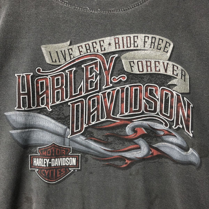Harley-Davidson Motorcycle Bike T-shirt, Men's XXL cotton gray type Vintage Second Hand