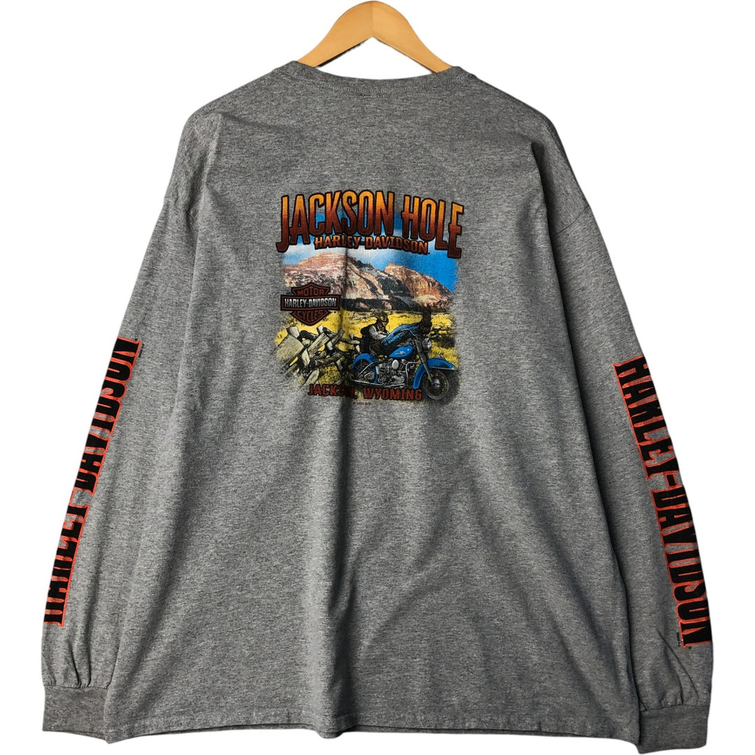 Harley-Davidson Motorcycle Bike T-shirt, Men's XXL cotton gray type Vintage Second Hand