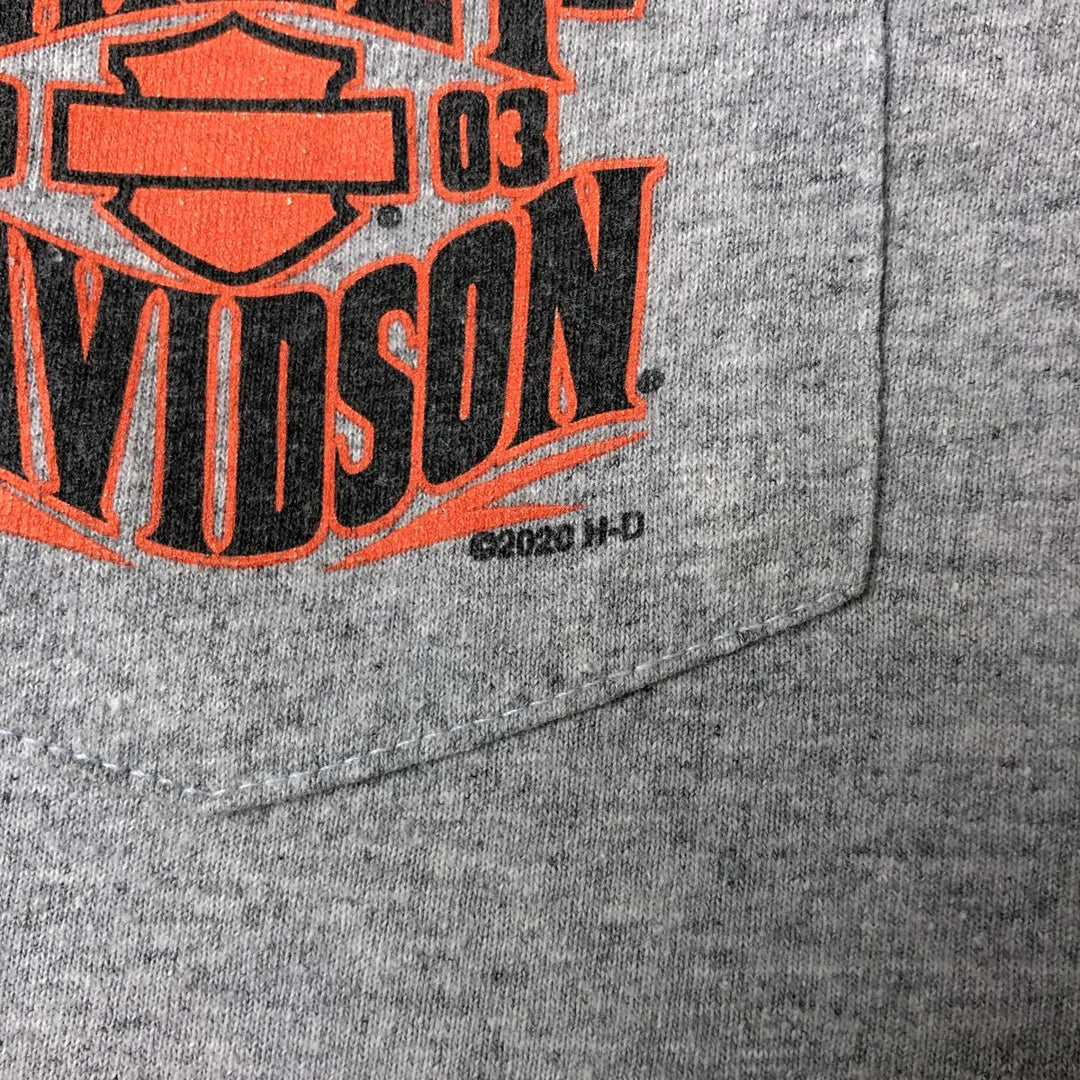 Harley-Davidson Motorcycle Bike T-shirt, Men's XXL cotton gray type Vintage Second Hand