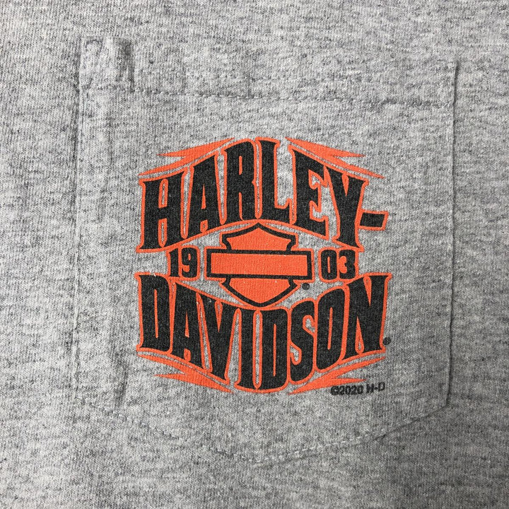 Harley-Davidson Motorcycle Bike T-shirt, Men's XXL cotton gray type Vintage Second Hand
