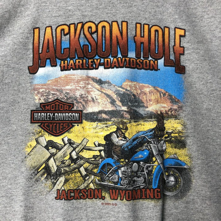Harley-Davidson Motorcycle Bike T-shirt, Men's XXL cotton gray type Vintage Second Hand
